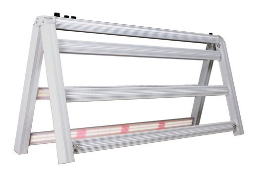 E-Pap LED Morpho 600W