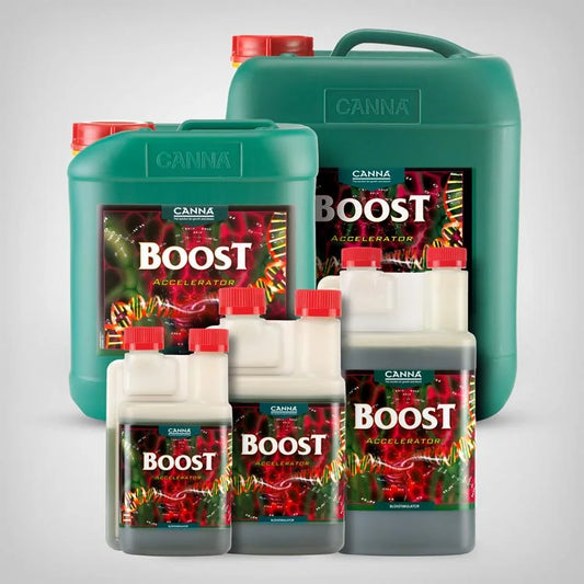 CANNABOOST Accelerator