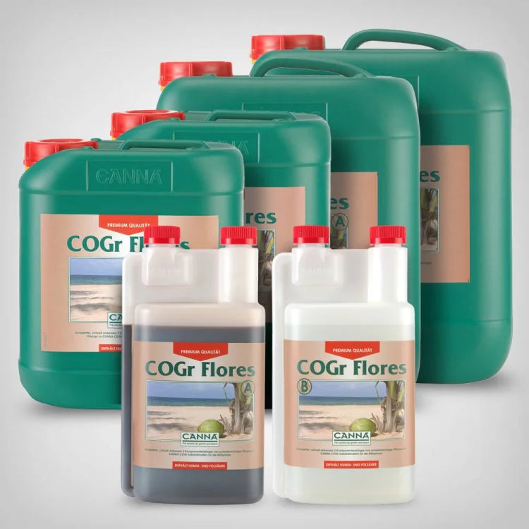 CANNA COGr Flores A&B
