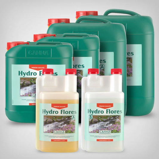 CANNA HYDRO Flores
