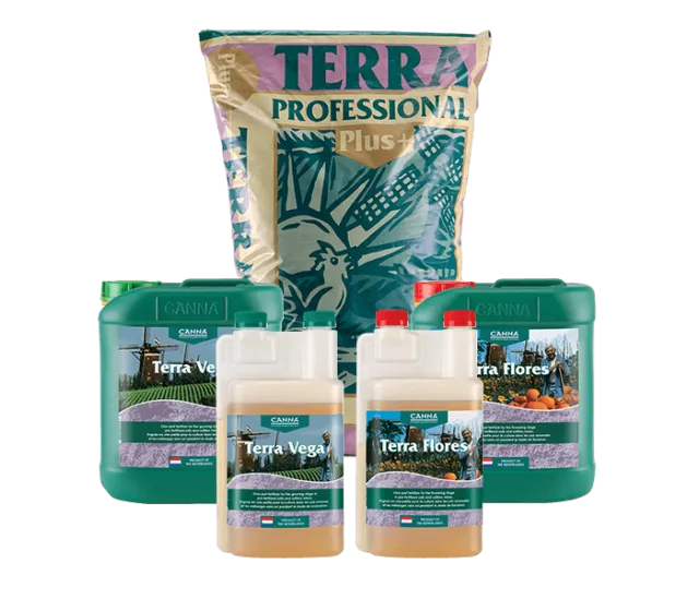 CANNA TERRA