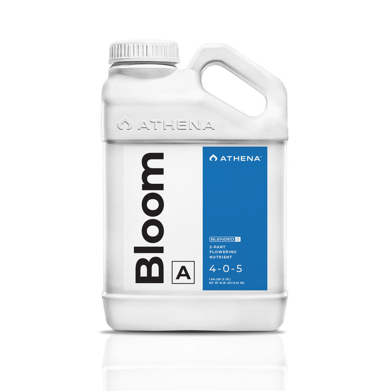 Bloom A 3,78l