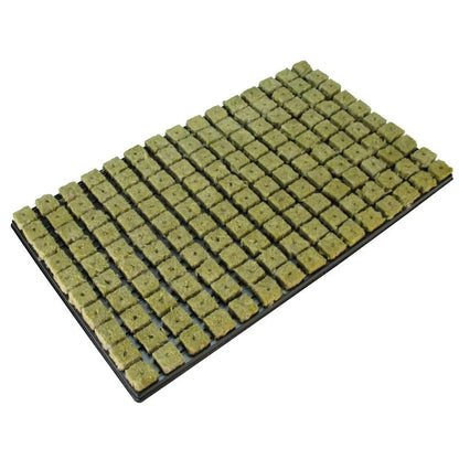 GRODAN Rockwool Tray - Tray 77 pcs