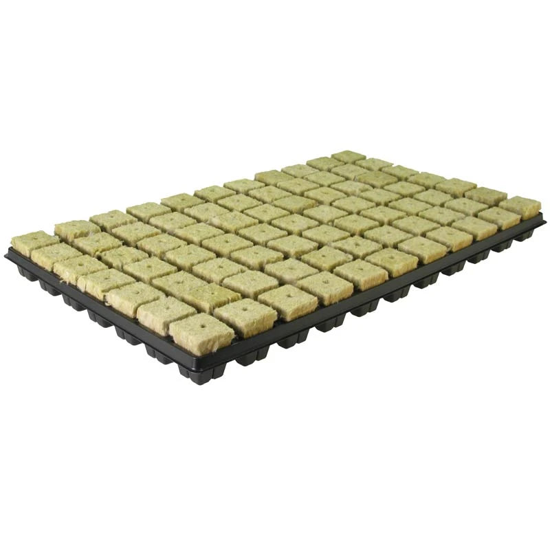 GRODAN Rockwool Tray - Tray 77 pcs