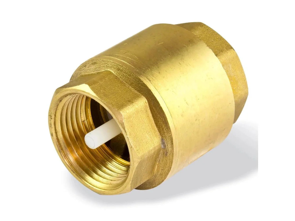 Check Valve 1" female